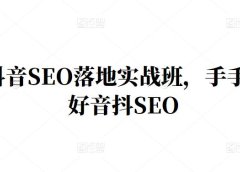 王通·抖音SEO落地实战班,手手带你做好音抖SEO