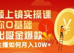 视频上镜实操课:带你0基础演出吸金爆款,赚钱主播如何月入10W+