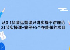 从0-1抖音运营课只讲实操不讲理论:21节实操课+案例+5个在能做的项目