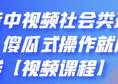 抖音中视频社会类玩法,傻瓜式操作就能赚钱【视频课程】