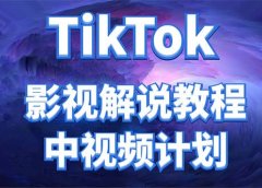 外面收费2980元的TikTok影视解说、中视频教程