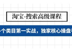 淘宝-搜索高级课程：多个类目第一实战，独家核心操盘手法