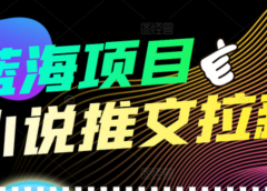 【高端精品】外面收费6880的小说推文拉新项目,个人工作室可批量做