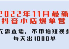 2022年11月最新抖音小店爆单训练营：无需直播，不用拍短视频，每天出1000单