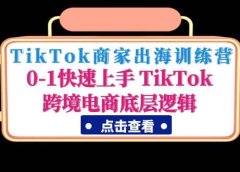 TikTok商家出海训练营:0-1快速上手 TikTok跨境电商底层逻辑(无水印)