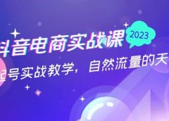 抖音电商实战课:0粉起号实战教学,自然流量的天花板(2月19最新)