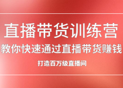 直播带货训练营,教你快速通过直播带货赚钱,打造百万级直播间