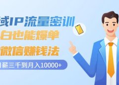 私域IP流量密训:小白也能爆单的微信赚钱法,从月薪三千到月入10000+