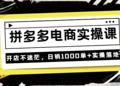 《拼多多电商实操课》开店不迷茫,日销1000单+实操落地(价值299元)
