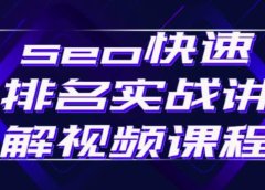 seo快速排名实战讲解视频课程,揭秘seo快排原理