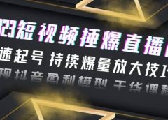 2023短视频捶爆直播间：快速起号 持续爆量放大技巧 实现抖音盈利模型 干货