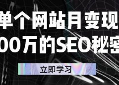 单个网站月变现100万的SEO秘密,百分百做出赚钱站点