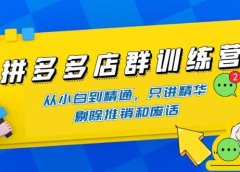 拼多多店群训练营:从小白到精通,只讲精华,剔除推销和废话