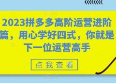 2023拼多多高阶运营进阶篇,用心学好四式,你就是下一位运营高手