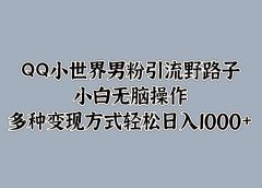 QQ小世界男粉引流野路子,小白无脑操作,多种变现方式轻松日入1000+