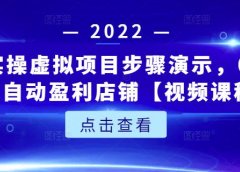 新人实操虚拟项目步骤演示,0基础打造自动盈利店铺【视频课程】