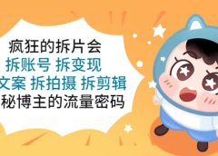 疯狂的拆片会：拆账号 拆变现 拆文案 拆拍摄 拆剪辑 揭秘博主的流量密码