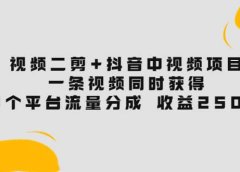 视频二剪+抖音中视频项目：一条视频获得3个平台流量分成 收益250% 价值4980
