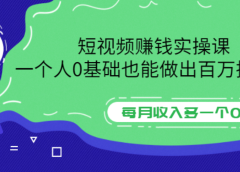 短视频赚钱实操课,一个人0基础也能做出百万播放量,每月收入多一个0