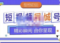 大东·短视频同城号教程,包括搭建思路,版面制作,文案内容,剪辑操作等