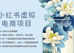 小红书虚拟电商从0到1,让你从小白到精英(20节实操课程)
