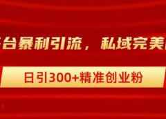 跨平台暴力引流,私域完美闭环,日引300+精准创业粉