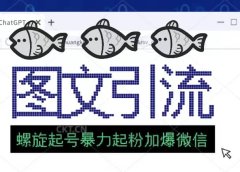23年价值1980的图文引流创业粉螺旋起好技术暴力起粉加爆微信