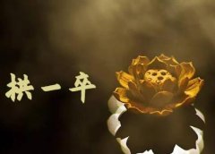 无脑搬砖,普通人可以复制的副业赚钱项目(附软件)