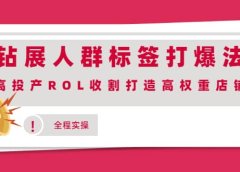 钻展人群标签打爆法,高投产ROL收割打造高权重店铺(全程实操)