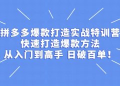 拼多多爆款打造实战特训营:快速打造爆款方法,从入门到高手 日破百单