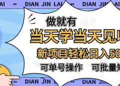 做就有,当天学当天见收益,可以矩阵操作,轻松日入500+