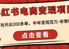 小红书电商变现项目：实测当天出200多单