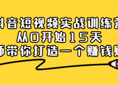抖音短视频实战训练营,从0开始15天老师带你打造一个赚钱账号