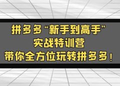 拼多多“新手到高手”实战特训营:带你全方位玩转拼多多