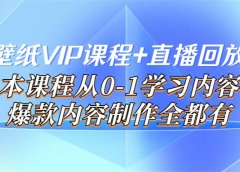 闪闪壁纸VIP课程+直播回放【新】本课程从0-1学习内容，爆款内容制作全都有