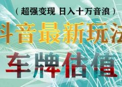 抖音最新无人直播变现直播车牌估值玩法项目 轻松日赚几百+【详细玩法教程】