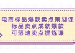 电商标品爆款卖点策划课,标品卖点成就爆款,可落地卖点提炼课
