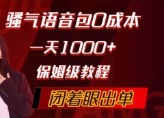 骚气导航语音包，0成本一天1000+，闭着眼出单，保姆级教程