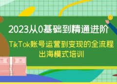 2023从0基础到精通进阶,TikTok账号运营到变现的全流程出海模式培训