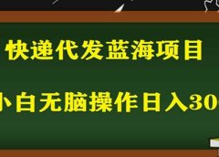 2023最新蓝海快递代发项目，小白零成本照抄