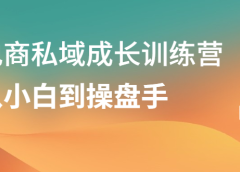 电商私域成长训练营,从小白到操盘手