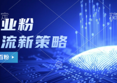 副业粉截流玩法与更新,不废号, 不封号。日引100+