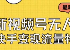 最新视频号无人直播转快手变现美女玩法日入500+【教程+素材】