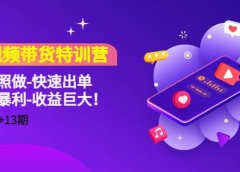 短视频带货特训营（11+12+13期）听话照做-快速出单