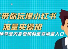 5天带你玩爆小红书流量实操班,小红书种草是内容营销的重要流量入口