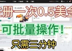 国外项目注册一次0.5美金 只需三分钟无脑操作 可批量放大 小白工作室福利