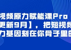 短视频原力赋能课Pro【更新9月】,把短视频能力基因刻在你骨子里的课