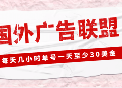 外面收费1980最新国外LEAD广告联盟搬砖项目，单号一天至少30美元(详细教程)