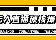 大飞无人直播硬核爆单技术,轻松玩转无人直播