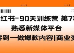 小红书-90天训练营-第7期，熟悉新媒体平台|从零到一做爆款内容|商业变现